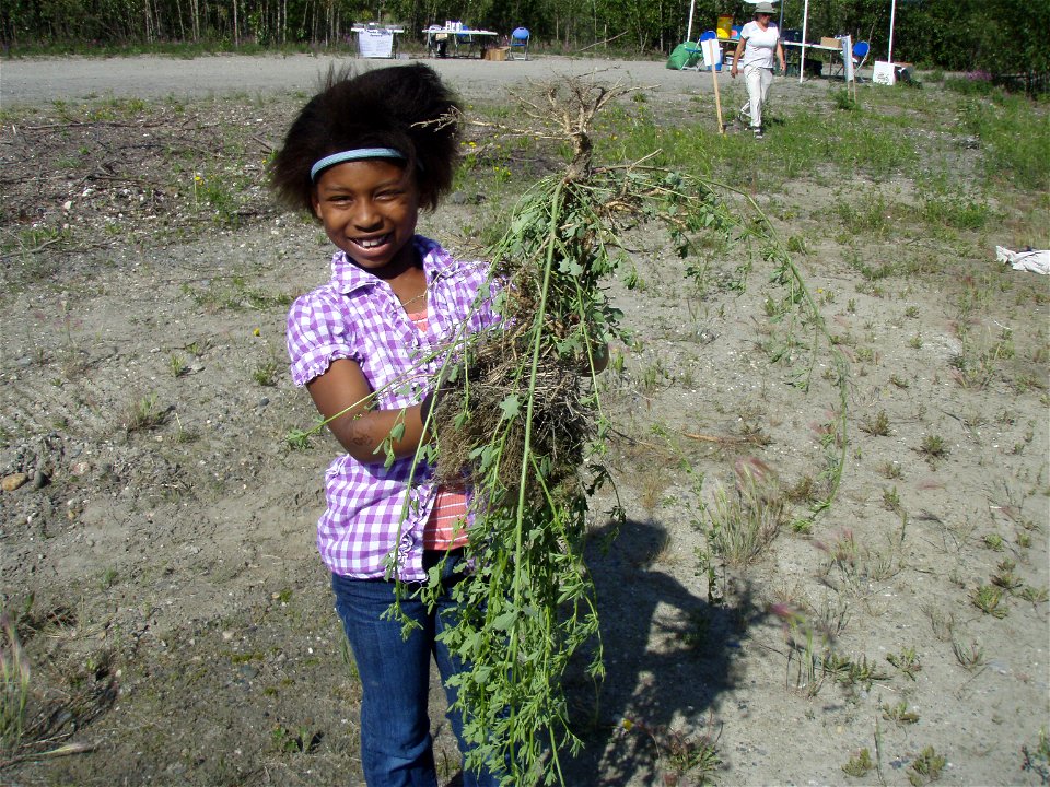 Girl with White Sweet Clover