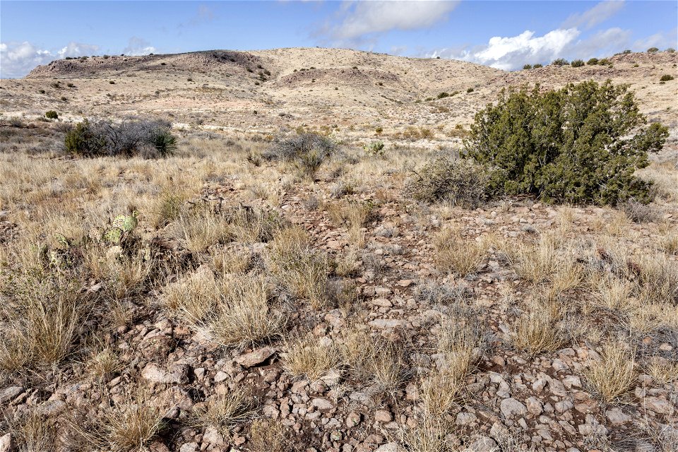 Southwestern Pyramid Mountains