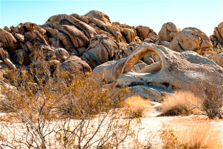 Scorpius Arch in boulder field photo