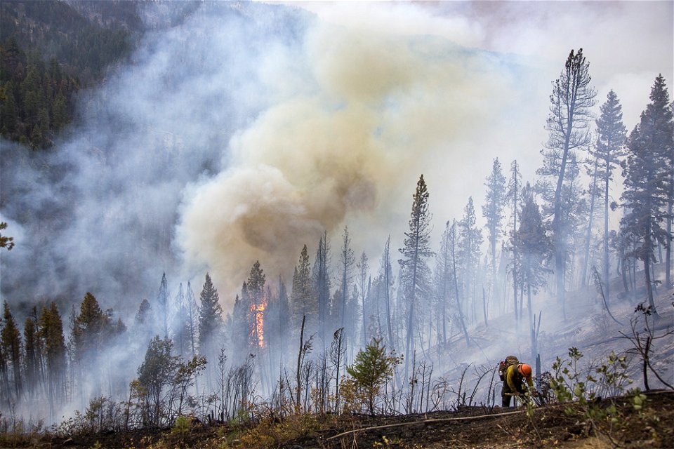 PioneerFire-Boise-July2016-008