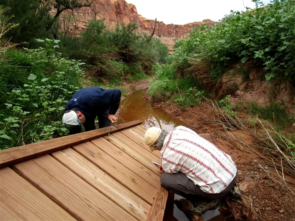 National Public Lands Day Events 2021 photo