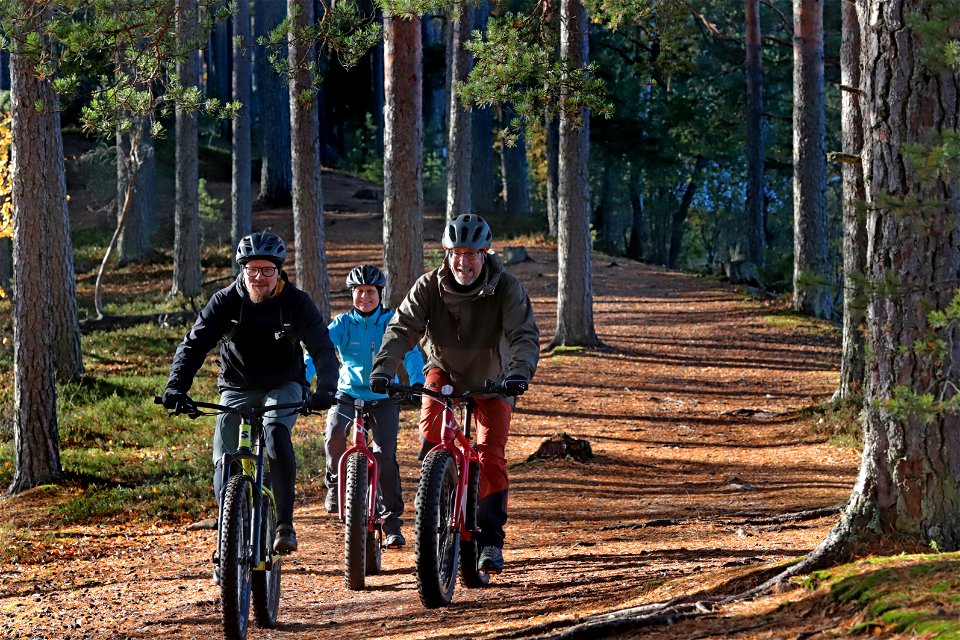 Hämeen Ilvesreitti Liesjärvi, Tammela