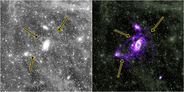 M81 group Visual ultra-deep image + HI map photo