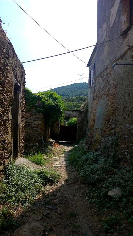 Ersa