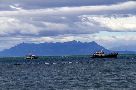 IMG_3910