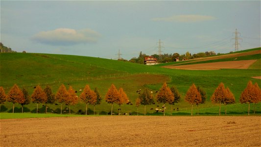 DSC00832