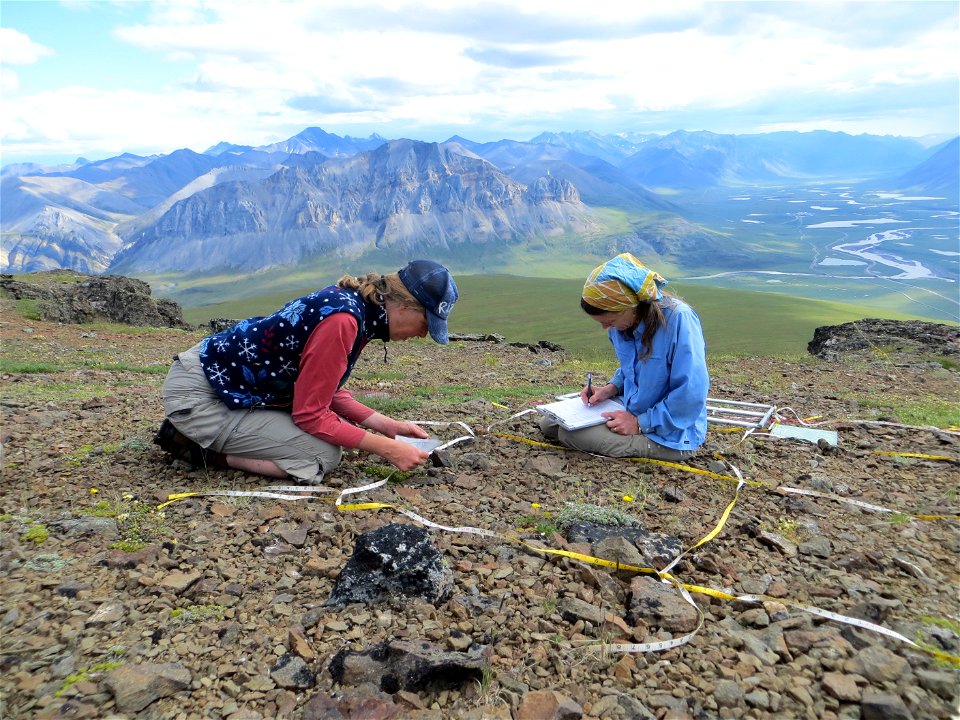 2013 Arctic-Volunteers