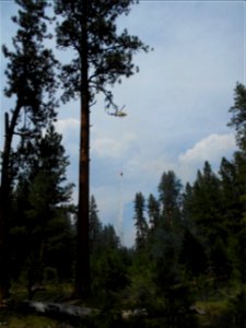 2021 BLM Fire Employee Photo Contest Category: Aircraft photo