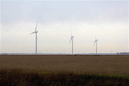 Timber Road II Wind Farm photo