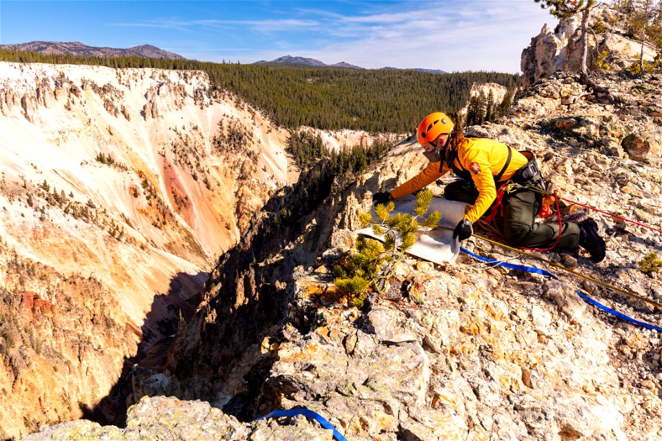 High-angle search & rescue training in Canyon: setting edge protection