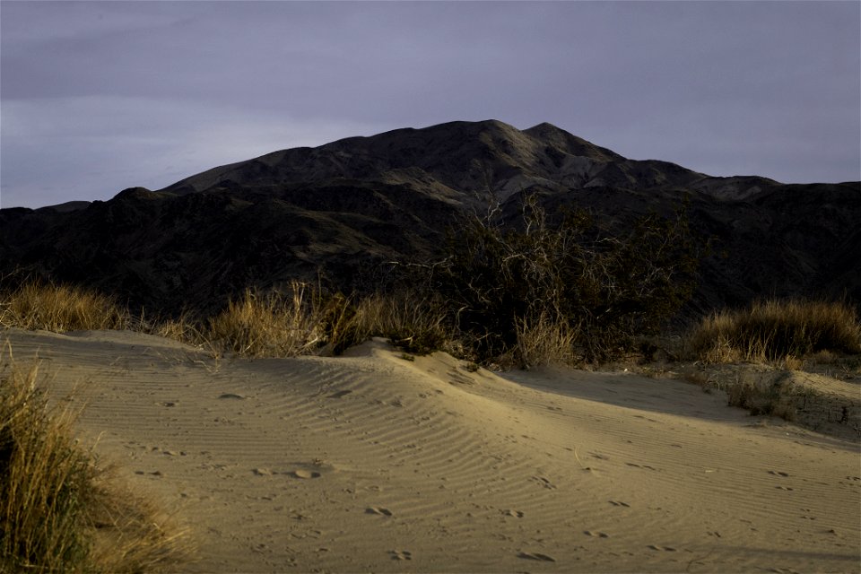 Sand dunes near Turkey Flats