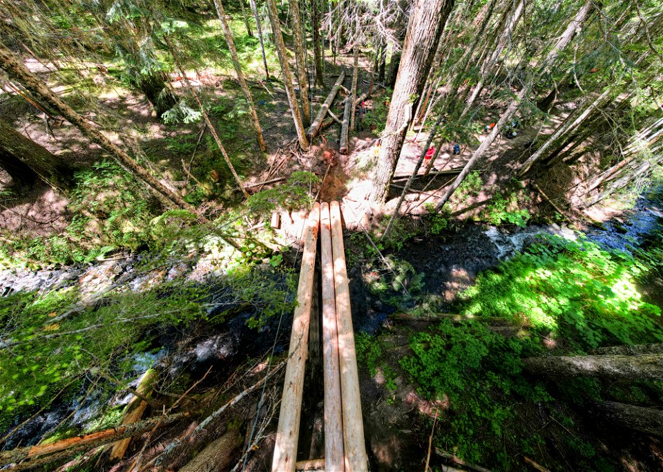 O-Gifford Pinchot Blue Lake Cr Trail-14
