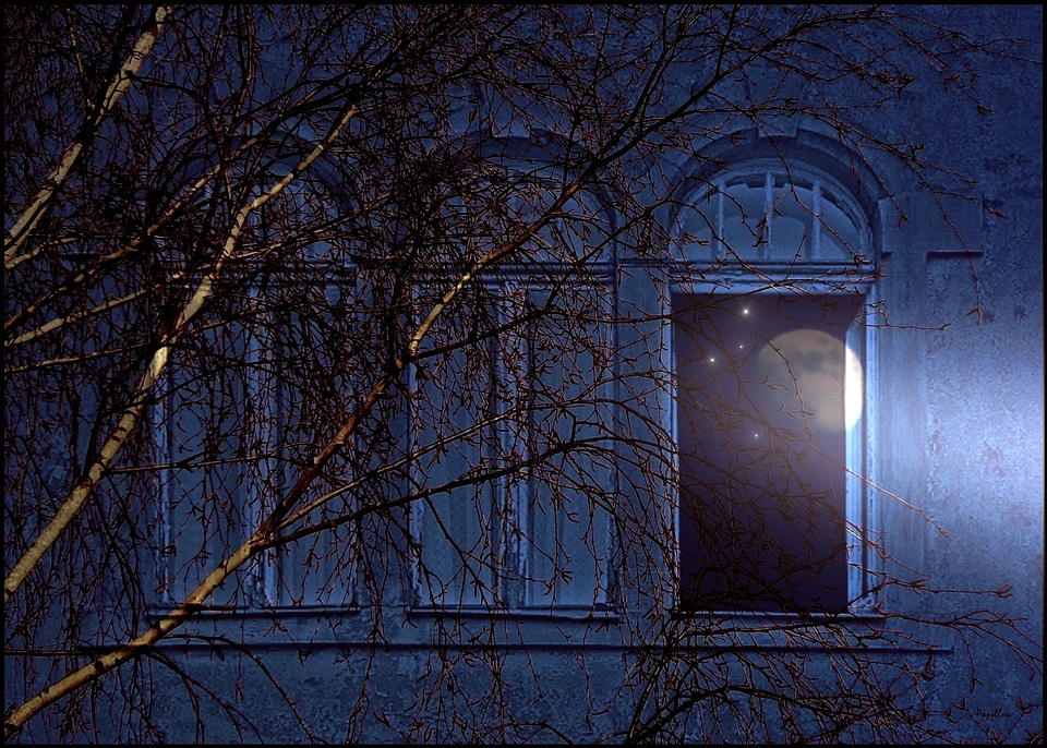 Facade architecture light