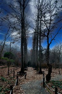 Hantaek Botanical Garden