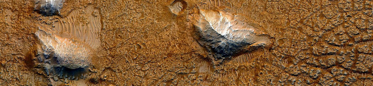 Mars - Polygonal Cracks in Galilaei Crater photo