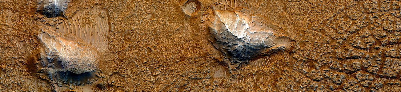 Mars - Polygonal Cracks in Galilaei Crater
