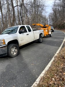 Ice Storm Cleanup