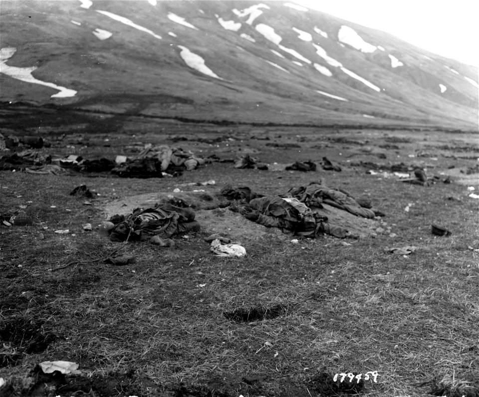 SC 179459 - The bodies of Japanese soldiers killed in the rear of our kitchens that they had looted.