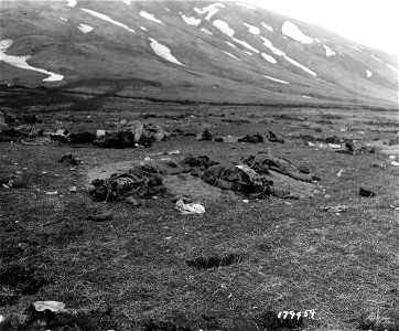 SC 179459 - The bodies of Japanese soldiers killed in the rear of our kitchens that they had looted.