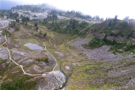 Fire and Ice Tr-before-Visitor Ctr area trails-impacts-Heather Meadows-Mount Baker-4 photo