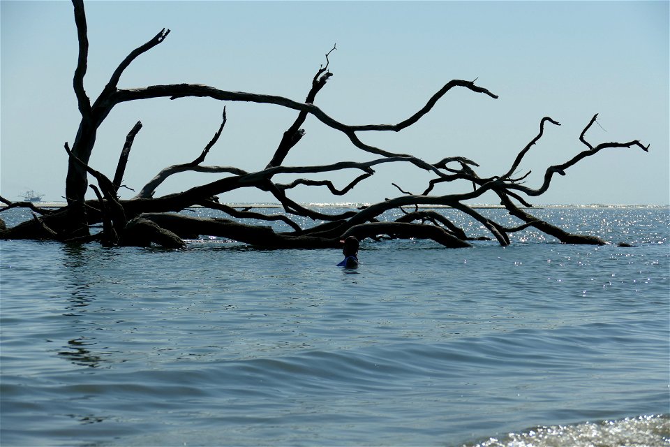 P1950005