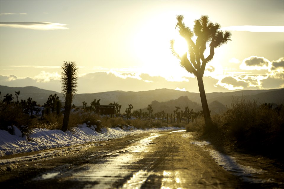 Snow near the Wall Street Mill parking area on Bighorn Pass Road at sunset