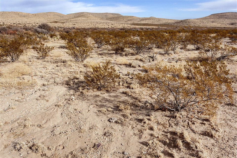 Otero Mesa