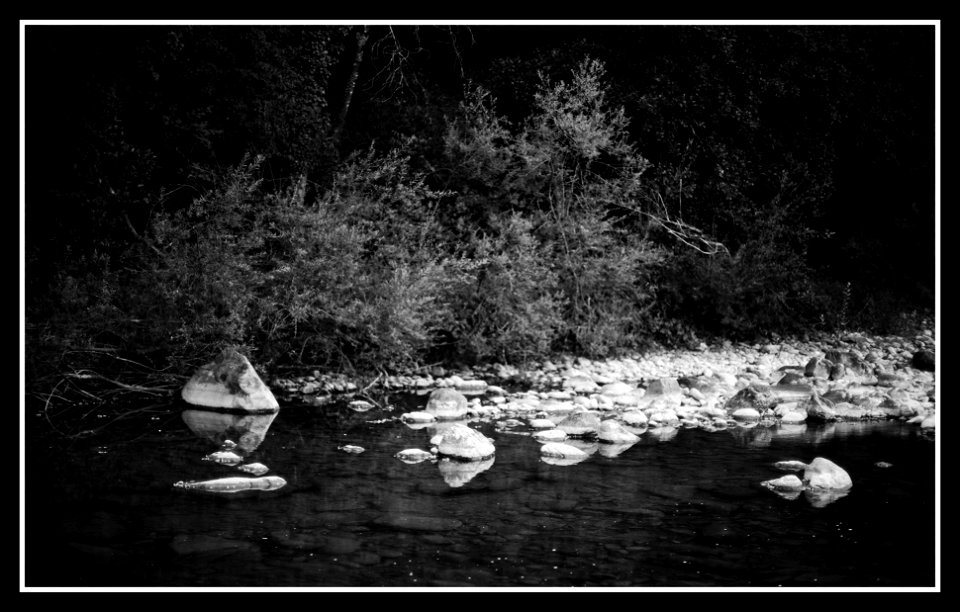 evening at the river photo