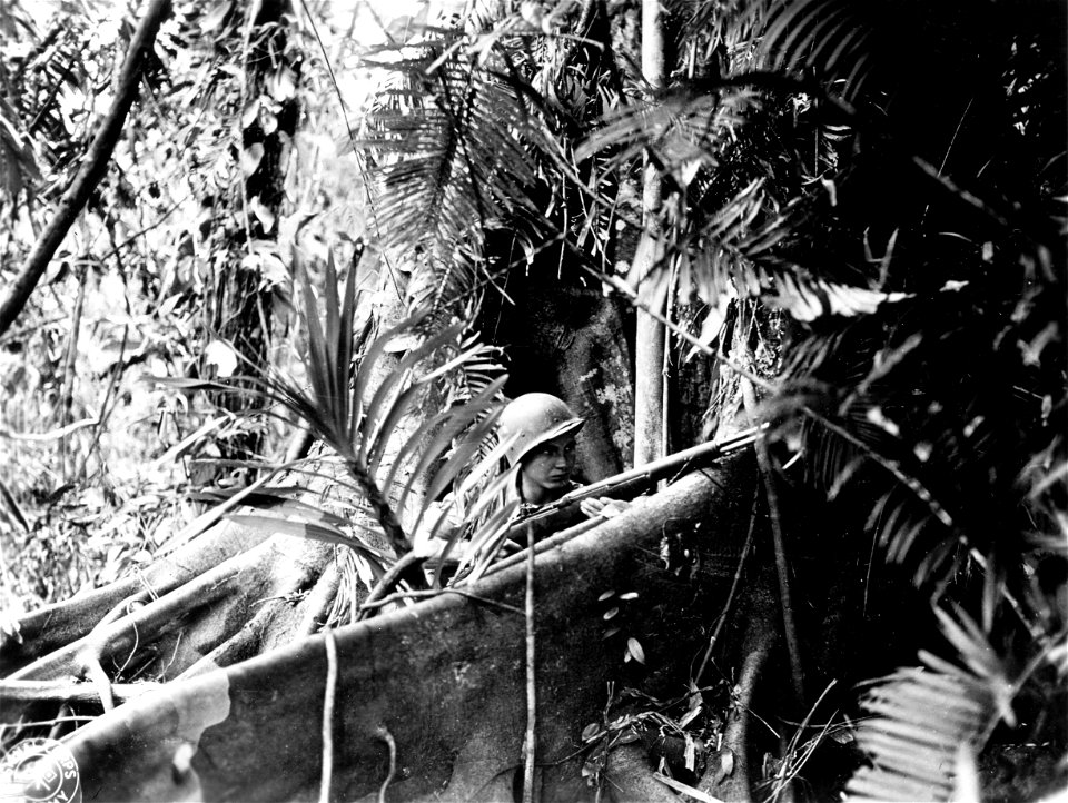 SC 334742 - Pvt. R. Dennis, 182nd Infantry, Americal Division, stands rear guard duty on Hill 260.