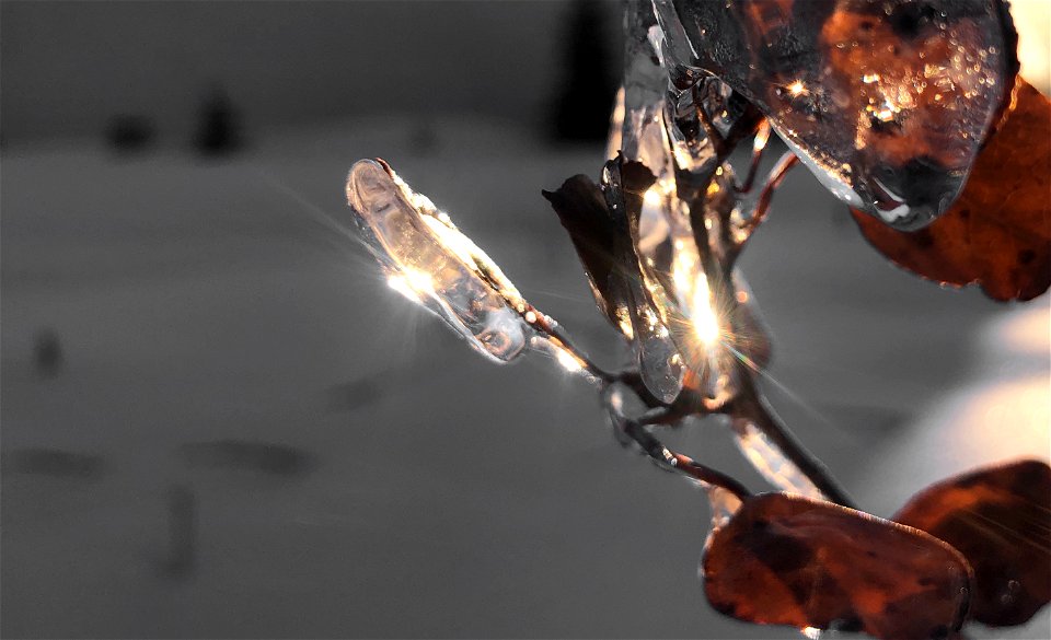 ice Crystal