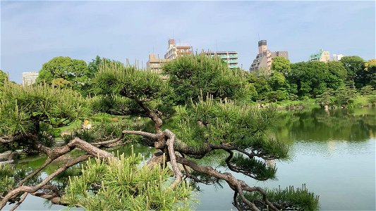Kiyosumi Gardens in Koto-ku photo