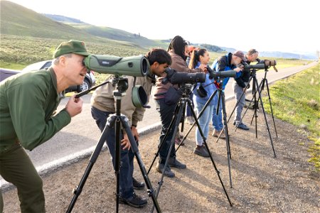 DOI Deputy Secretary Visit: watching wolves in Lamar Valley (2) photo