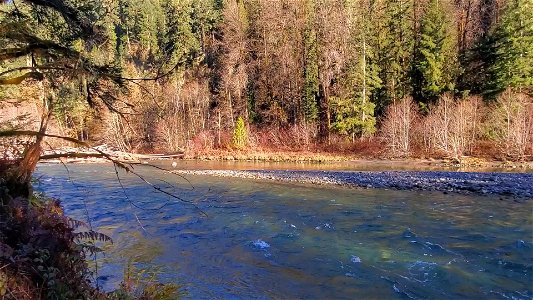 Autumn morning walk along the Old Sauk Trail, Mt. Baker-Snoqualmie National Forest. Video by Anne Vassar December 2, 2020.