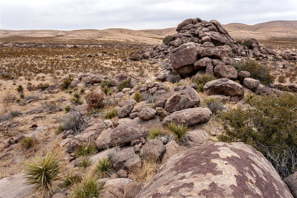 Otero Mesa