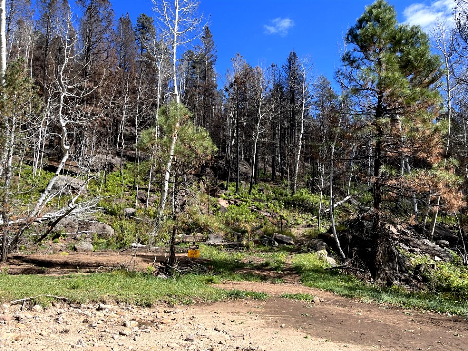 at Kachina access trail trailhead and end of Freidlein Prairie Road