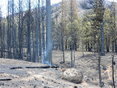 Burned Area Emergency Response media briefing photo