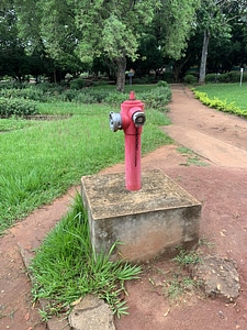 Fire plug environment grass