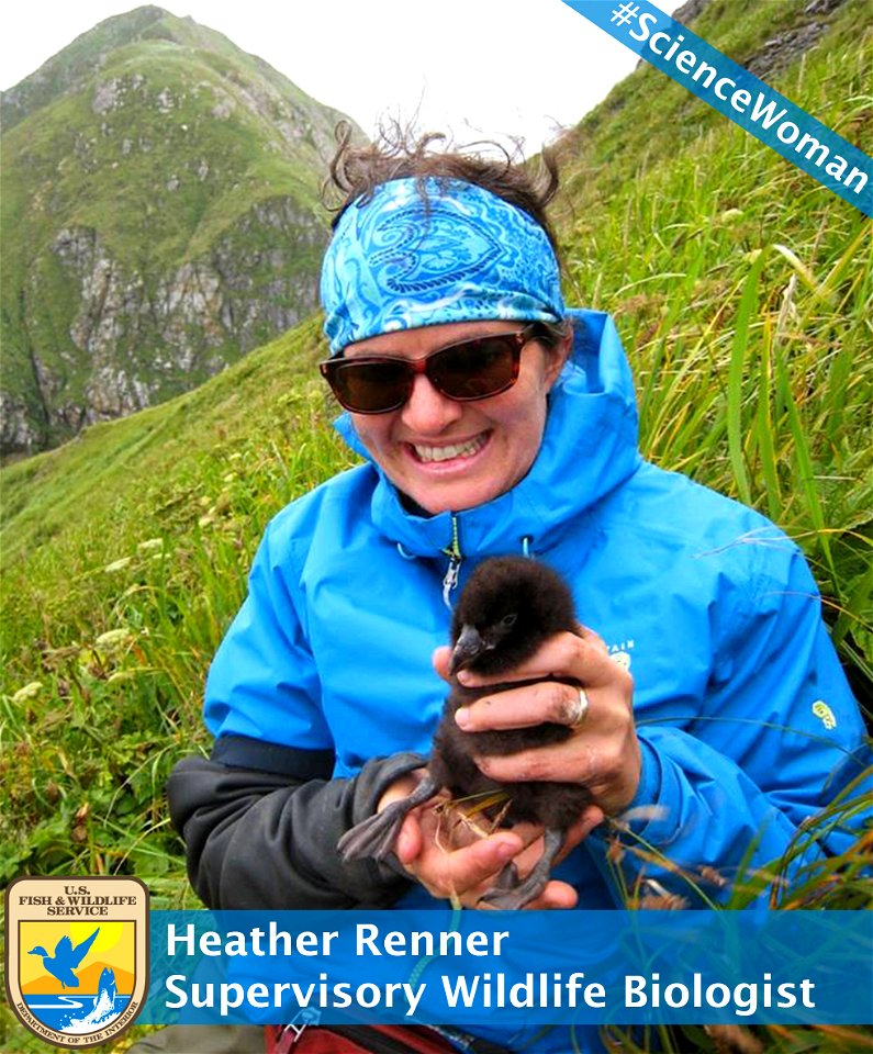 Heather Renner
