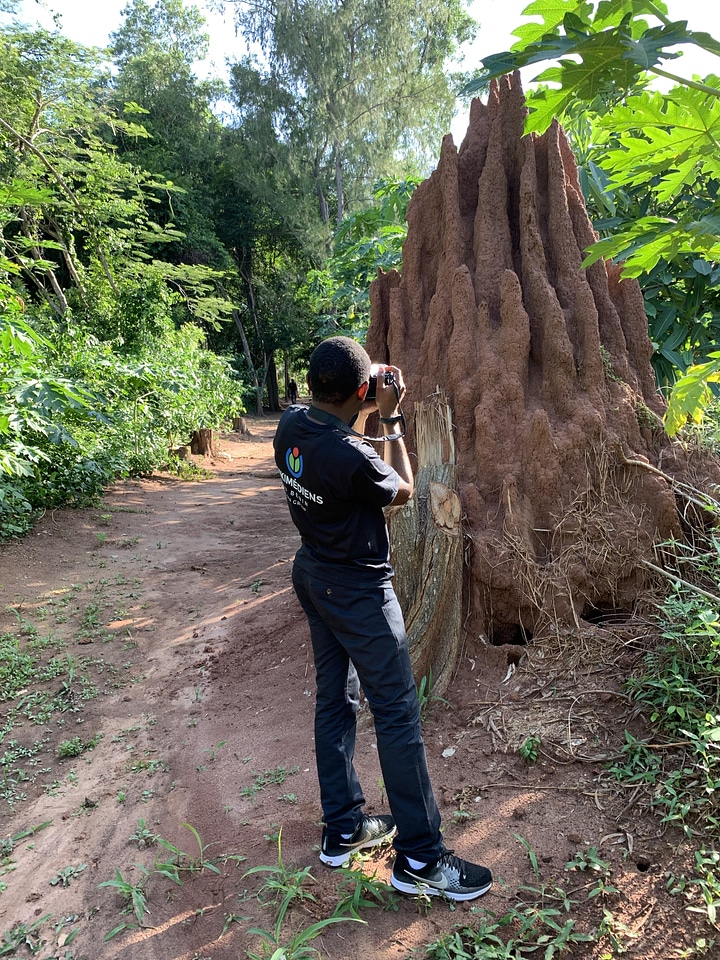 Termite mound bush photographer
