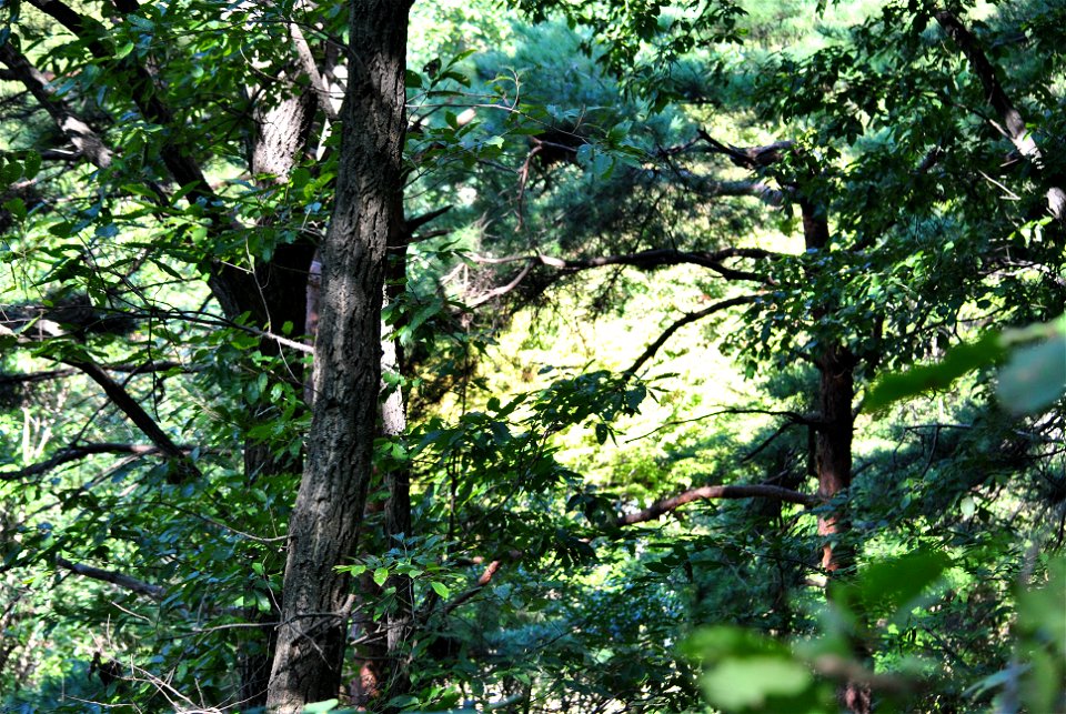 Teajosan Mountain Hiking