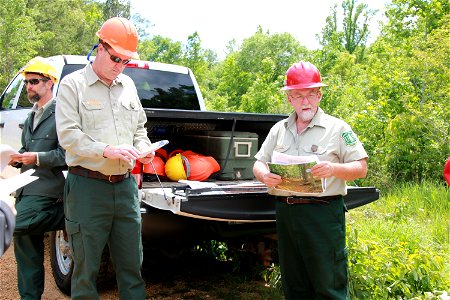 Prairie Visit - Winn Ranger District - Kisatchie National Forest - 003 photo