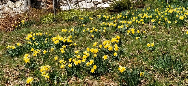 IMG_20210408_122418