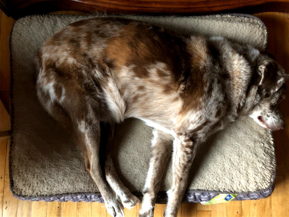 Down for the Count