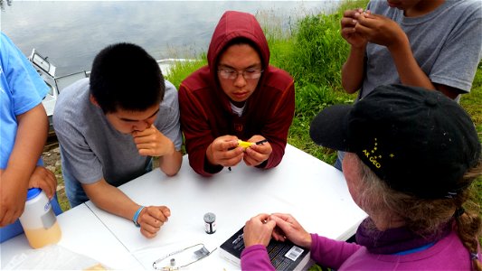 Bird banding with Kristine Sowl