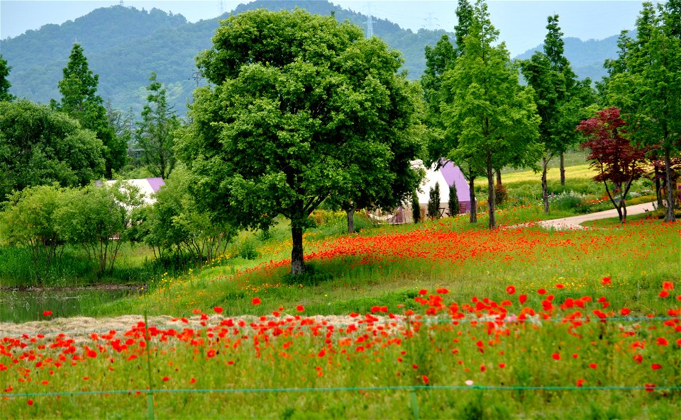 Suncheonman Bay National Garden Expo