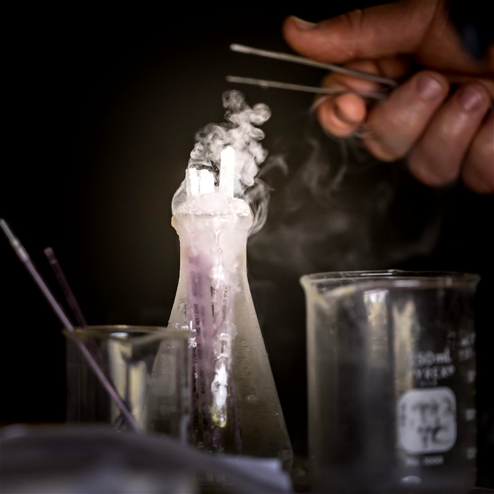 Cryo Preserved Pallid Sturgeon Sperm photo