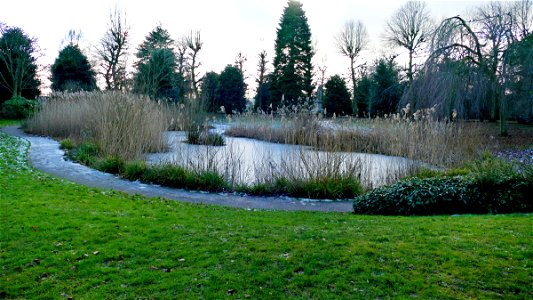 Grosvenor Park Pond photo