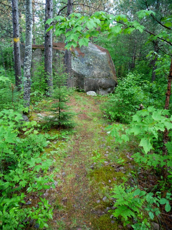 2021-FS-Superior-CoryRirchardsonUSFS Fire and Ice Interpretive Trail, LaCroix Ranger District
