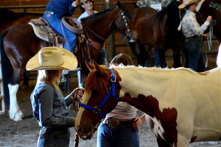 Northern Utah Wild Horse & Burro Festival - 2022 photo