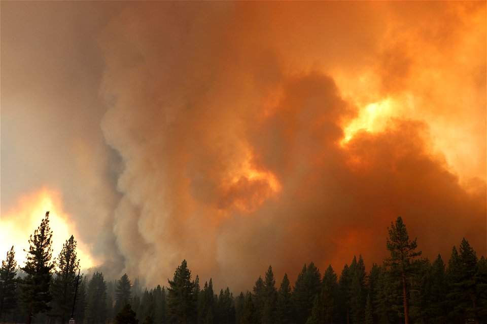 Tamarack Fire photo